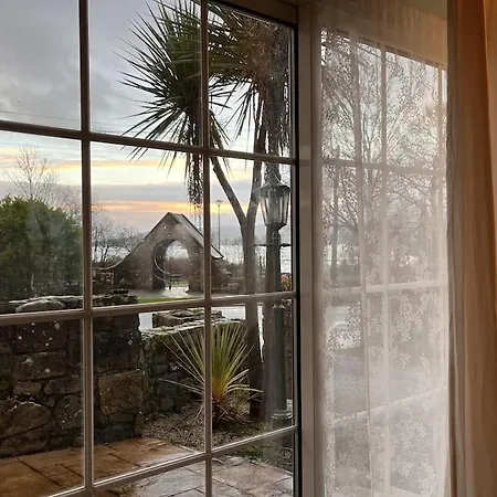 The Cupan Mountshannon