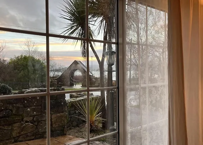 The Cupan Mountshannon