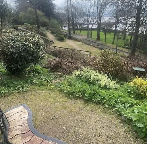 The Cupan 公寓 Mountshannon